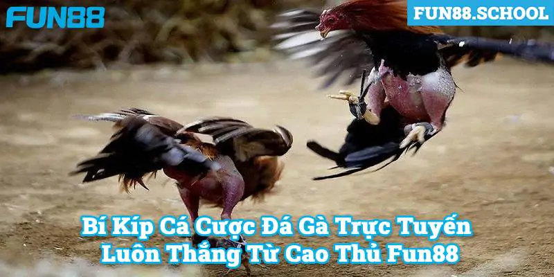 Bí Kíp Cá Cược Đá Gà Trực Tuyến Luôn Thắng Từ Cao Thủ Fun88